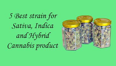 5 Best strain for Sativa, Indica and Hybrid Cannabis product