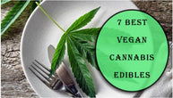 7 Best vegan cannabis edibles recipes to cook at Home
