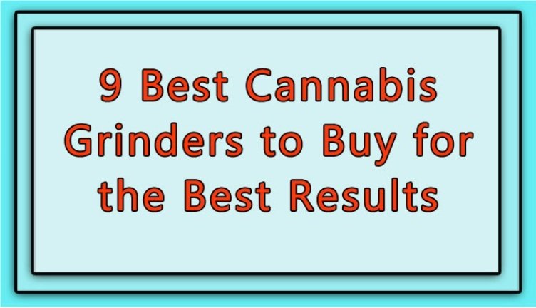 9 Best Cannabis Grinders to Buy for the Best Results