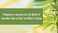 A Beginner's Journey Into The World Of Cannabis: How To Start & What To Know