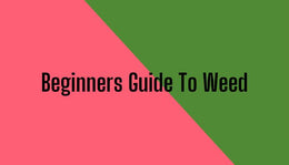 Beginners Guide To Weed