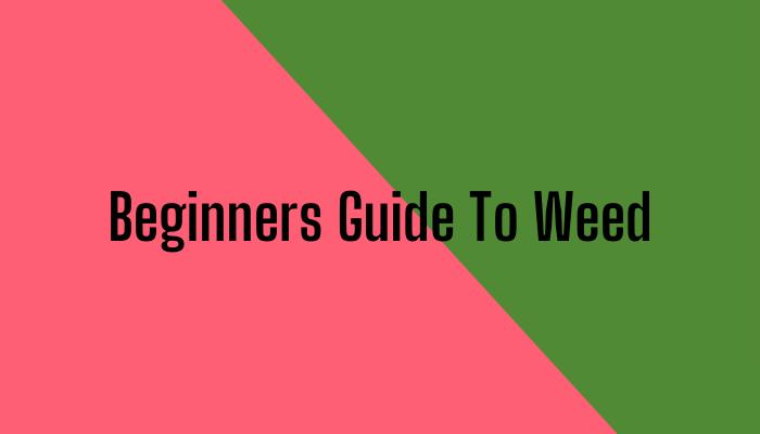 Beginners Guide To Weed