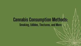 Cannabis Consumption Methods: Smoking, Edibles, Tinctures, & More