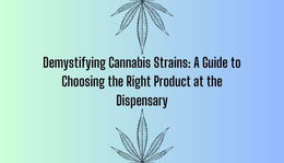 Demystifying Cannabis Strains: A Guide To Choosing The Right Product At The Dispensary