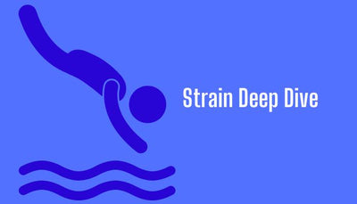 Strain Deep Dive: Powdered Donuts & Girl Scout Cookies