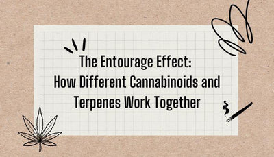 The Entourage Effect: How Different Cannabinoids & Terpenes Work Together
