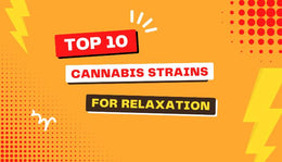 The Top 10 Cannabis Strains For Relaxation