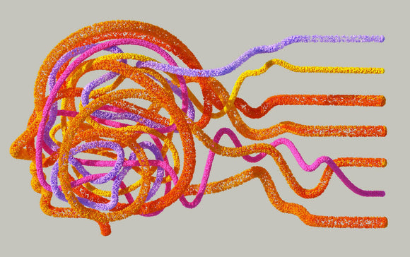 What Is the Endocannabinoid System?