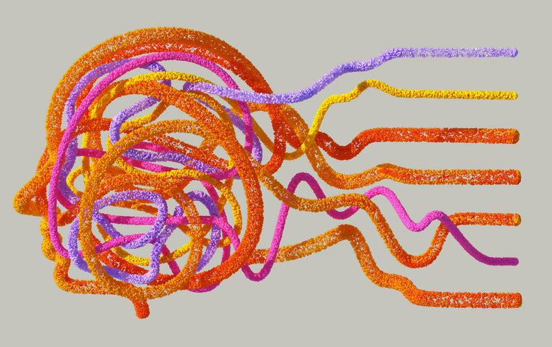 What Is the Endocannabinoid System?