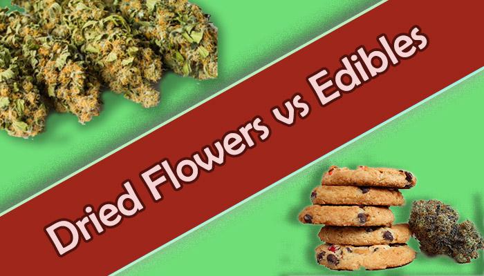 Dried Flower or Edibles? Which one Should you Choose and Why?