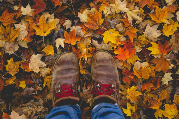Fun Fall Things to Do in Saskatoon High or Sober