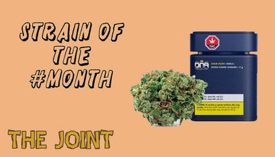 Strain Of The Month: Sour Kush by DNA Genetics