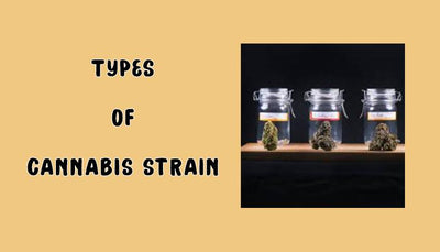 Types of Cannabis Strains