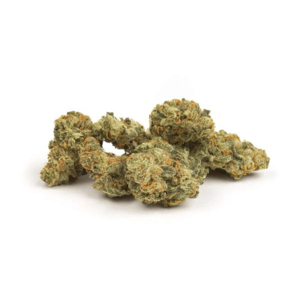 Dried Cannabis - MB - Edison The General Flower - Grams: - Edison