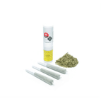 Dried Cannabis - MB - Tantalus Serratus Pre-Roll - Grams: - Tantalus