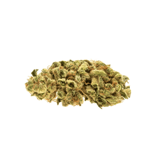 Dried Cannabis - MB - RIFF DT81 Flower - Grams: - RIFF
