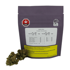 Dried Cannabis - MB - Virtue Cannabis Galactic Glue Flower - Format: