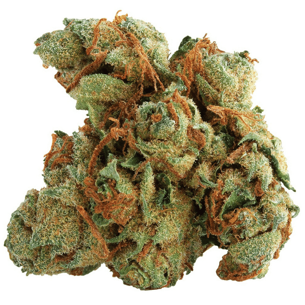 Dried Cannabis - MB - Spinach Tangerine Twist Flower - Format: - Spinach