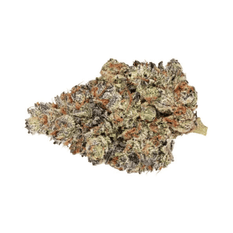 Dried Cannabis - MB - Broken Coast Holy Grail Kush Flower - Format: - Broken Coast