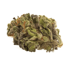 Dried Cannabis - MB - TwD Sativa Flower - Grams:
