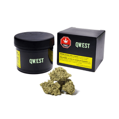 Dried Cannabis - AB - Qwest Reserve Goji OG Flower - Grams: - Qwest Reserve