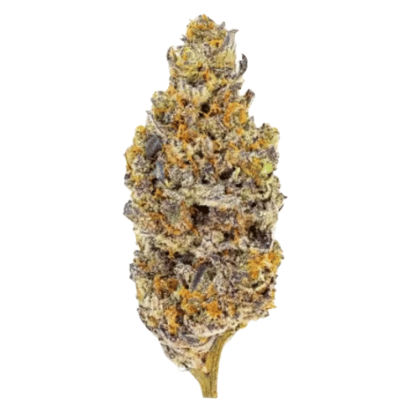 Dried Cannabis - MB - Sweetgrass Organic Mandarin Cookies - Format: - Sweetgrass