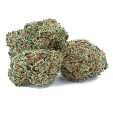 Dried Cannabis - SK - TGOD Organic Maple Kush Flower - Format: - TGOD
