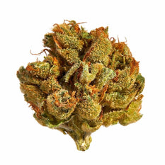 Dried Cannabis - MB - LBS Moonbeam Flower - Grams: - LBS