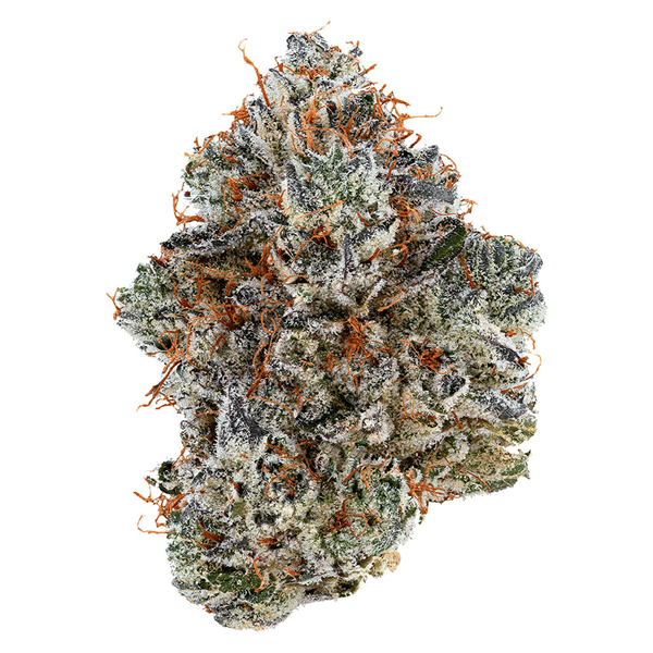 Dried Cannabis - SK - Tribal Neon Sunshine Flower - Format: