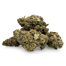 Dried Cannabis - MB - Pistol and Paris Black Triangle Flower - Format: - Pistol and Paris