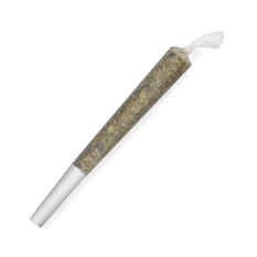 Dried Cannabis - SK - Houseplant Sativa Pre-Roll - Format: - Houseplant
