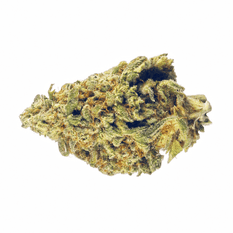 Dried Cannabis - MB - Edison Cobra Milk Flower - Format: - Edison