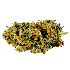 Dried Cannabis - MB - Redecan Warlock Flower - Format: - Redecan