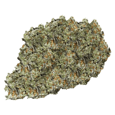 Dried Cannabis - SK - 7Acres Craft Collective Do-Si-God OG Flower - Format: - 7Acres