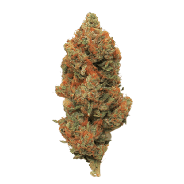 Dried Cannabis - MB - Erie Green Craft Cannabis High Society Flower - Format: - Erie Green Craft Cannabis