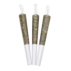 Dried Cannabis - SK - Emerald White Rhino Pre-Roll - Format: - Emerald