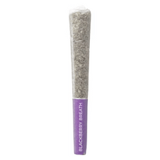 Dried Cannabis - SK - Pistol And Paris Blackberry Breath Pre-Roll - Format: