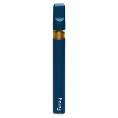 Extracts Inhaled - MB - Foray Blueberry GLTO THC-CBN Disposable Vape Pen - Format: - Foray