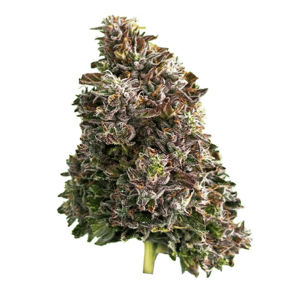 Dried Cannabis - MB - Silky Premium Bazooka Flower - Format: - Silky Premium