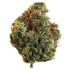 Dried Cannabis - MB - Edison Rio Bravo Flower - Grams: - Edison