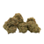Dried Cannabis - MB - Aaron's BC Bud Island OG Flower - Format: - Aaron's BC Bud