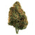 Dried Cannabis - AB - Edison City Lights Flower - Grams: - Edison