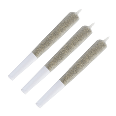 Extracts Inhaled - SK - WAGNERS Cherry Jam Pocket Rockets Infused Pre-Roll - Format: - WAGNERS