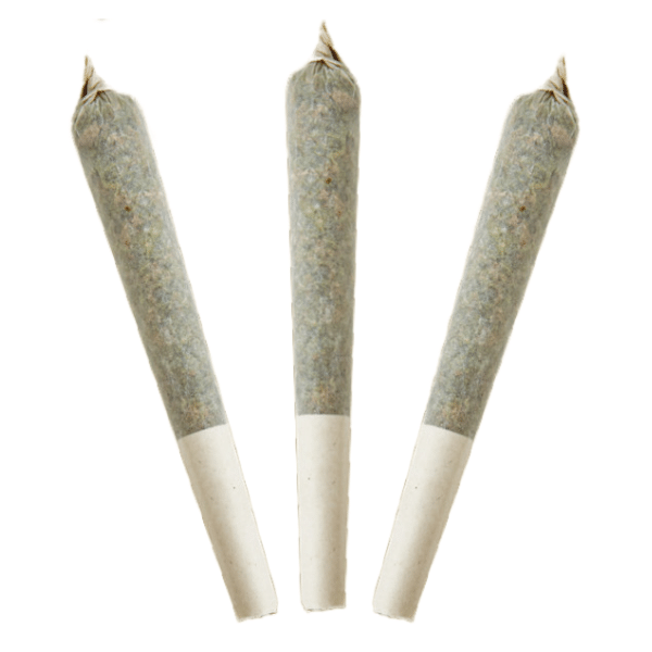 Dried Cannabis - MB - Sticky Greens Rooty B Disti Sticks Infused Pre-Roll - Format: - Sticky Greens