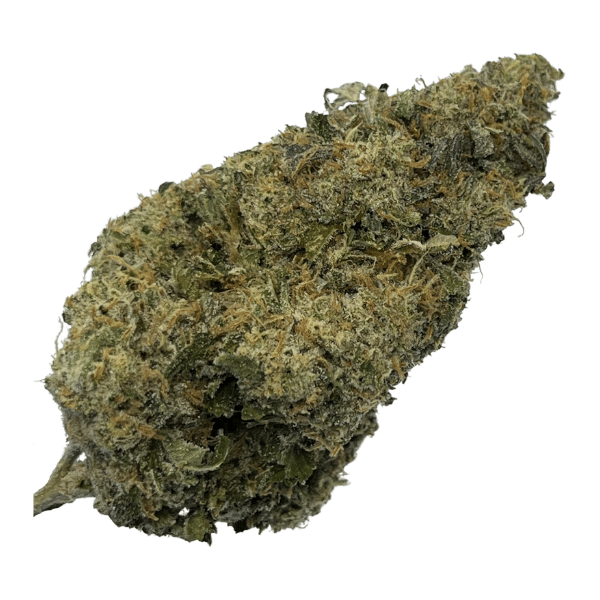 Dried Cannabis - SK - Ostara Bazookas Flower - Format: - Ostara