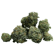 Dried Cannabis - SK - Redecan Violet Fog Flower - Format: - Redecan