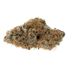 Dried Cannabis - SK - OGEN Dosi-GMOsi #13 Flower - Format: - OGEN