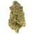 Dried Cannabis - MB - WAGNERS Rainforest Crunch Flower - Format: - WAGNERS