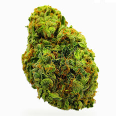 Dried Cannabis - Benchmark Botanics Glueberry OG Flower - Format: - Benchmark Botanics