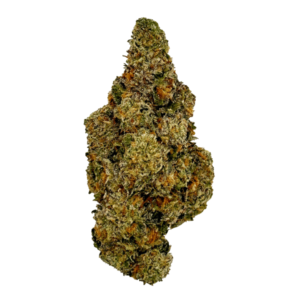 Dried Cannabis - SK - Ostara Gas Cake Flower - Format: - Ostara